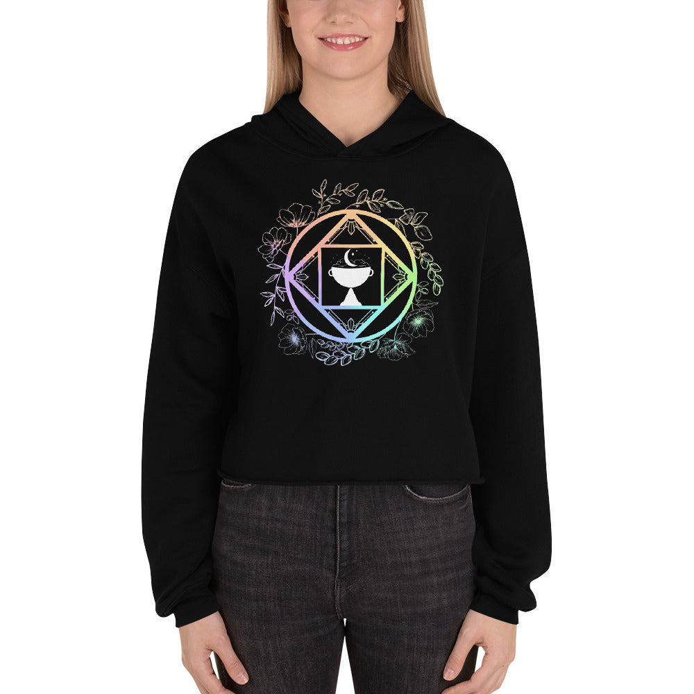 Ritual Rainbow Black Crop Hoodie